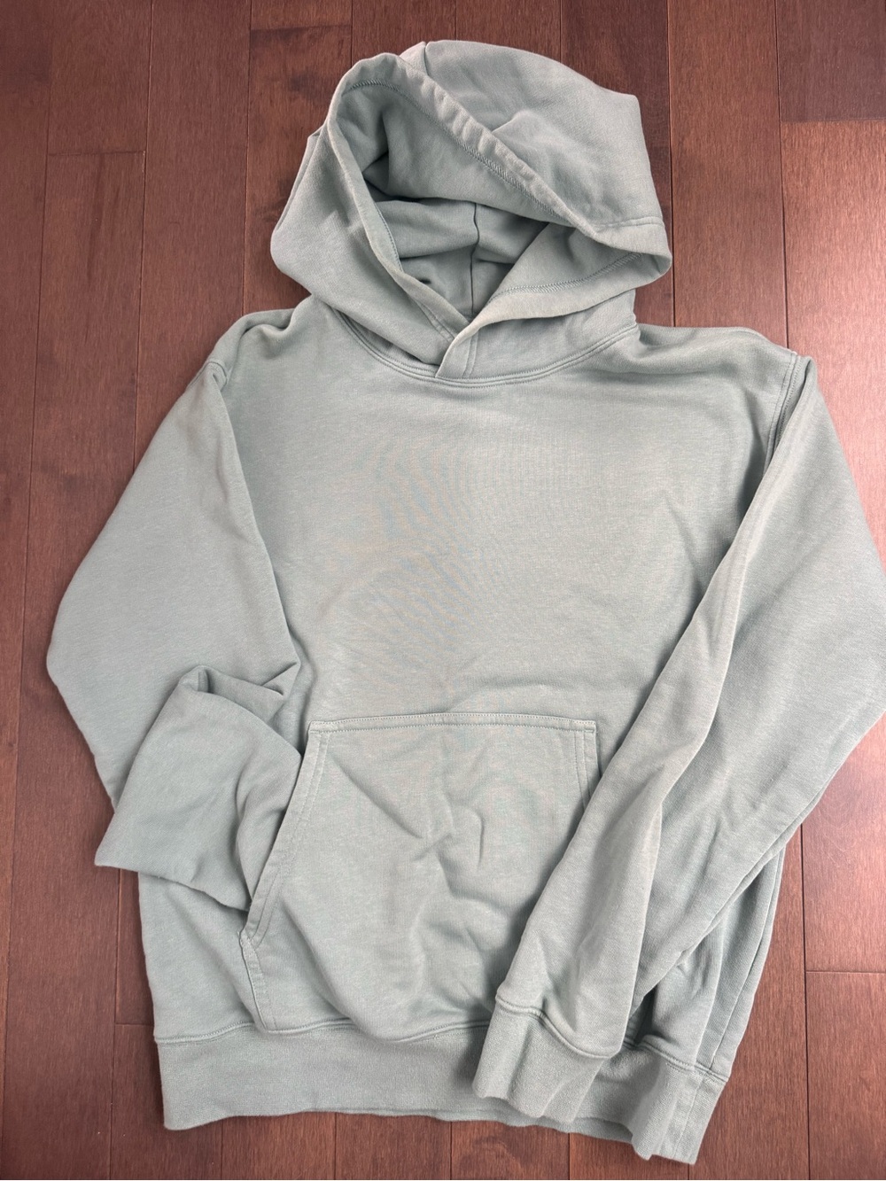 TNA Men's Light Sage Green Pullover Hoodie